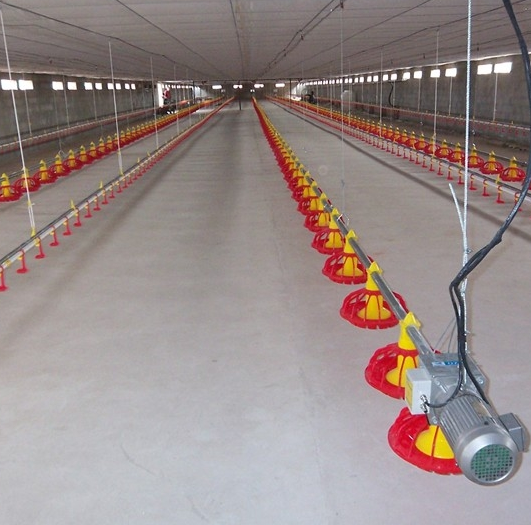 Automatic Poultry Feeder Feeding System,Pan Feeding System