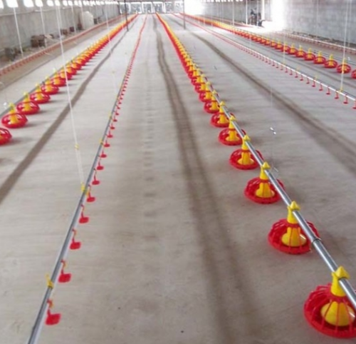 Automatic Poultry Feeder Feeding System