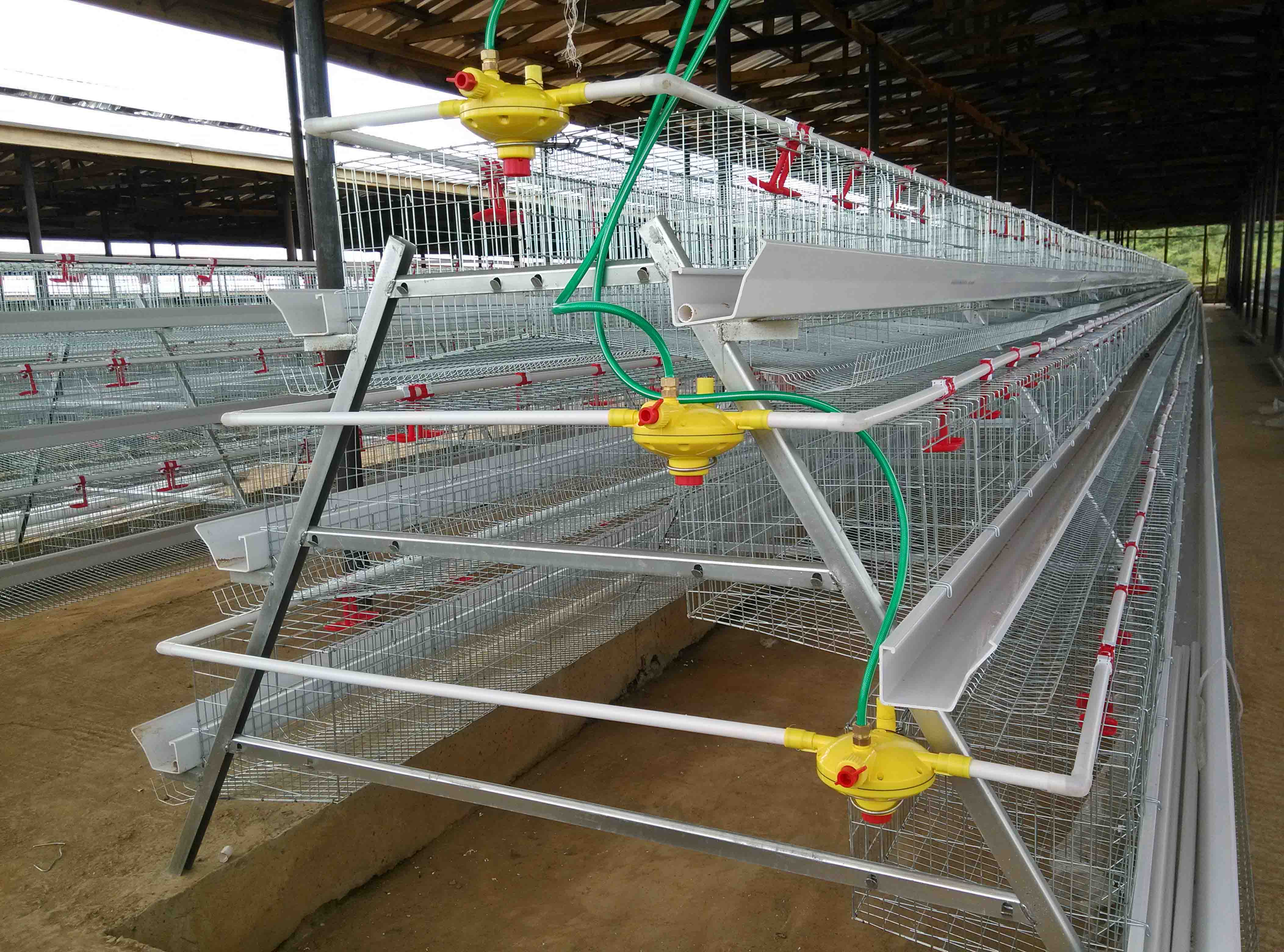 Layer Cage,Layer Chicken Equipments