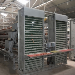 A Type Automatic Chicken Equipment