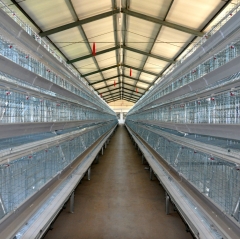Battery Cage